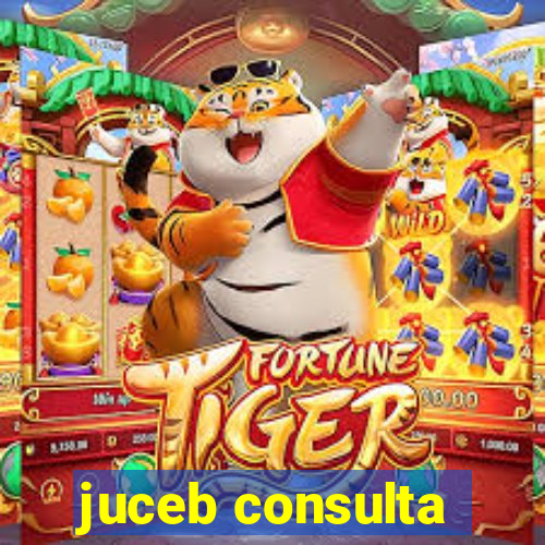 juceb consulta